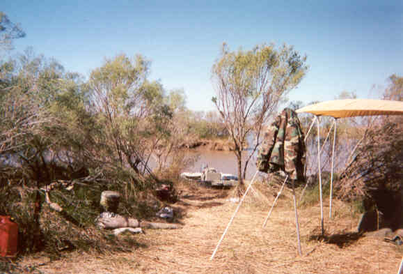 A sunny morning at the camp
