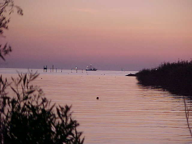 The Gulf of Mexico as seen from the camp site - sunset Thursday 11/6/03.