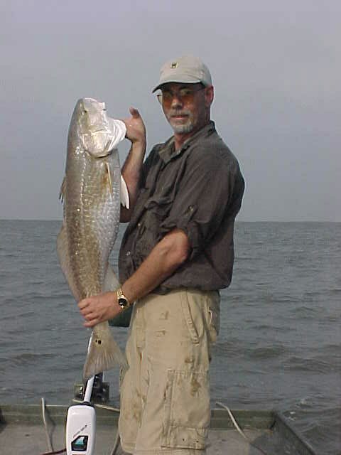 don nice fish