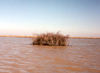 Lake blind