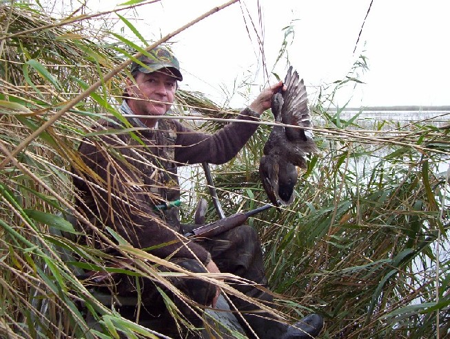 Hidden in the canes, Joe shows off a Gadwall. High tide and high times - one of the best hunts ever.