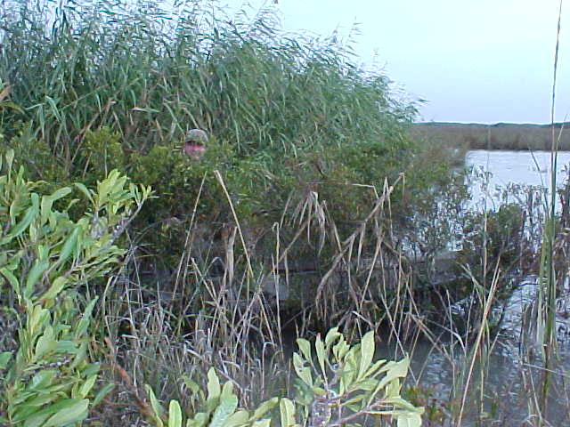 Joe hidden in his mud boat "blind".