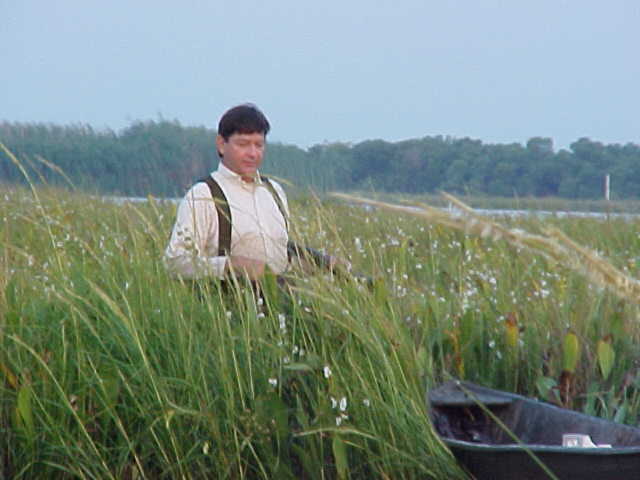 teal2001_joe