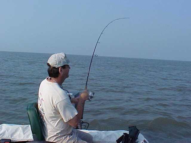 teal2001_joe2