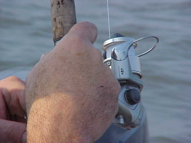 teal2001_joereel